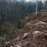 Предприятие из Пушкино оштрафовали за навалы грунта в водоохранной зоне реки - Газета Маяк