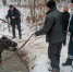 Спасатели из Пушкинского района спасли коня по имени Космос из пруда в Сергиево-Посадском районе - Газета Маяк