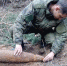 Артиллерийский снаряд, обнаруженный в Пушкинском округе, не представлял опасности для жителей - Газета Маяк