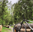 430WVSbGZ-4.jpg - Газета Маяк