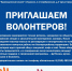 Жители округа могут стать участниками федеральной программы «Волонтеры культуры» - Пушкинский район