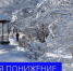 7oCOGyt8ieI.jpg - Газета Маяк