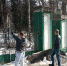 7LPfdmYFoa8.jpg - Газета Маяк