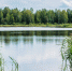 big-57f2acbfff93674f820f2fd3-57f95ff4b922f-1bvinvl.jpg - Газета Маяк