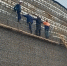 535e86cc8ffe47002ce3a5c68a815ed8.jpg - Газета Маяк