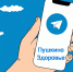 В Telegram-чате «Здоровье» ответят на вопросы пушкинцев - Пушкинский район