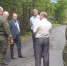 Жителям деревни Грибово ответили на вопросы о вырубке деревьев - Газета Маяк