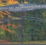 16-52-57-Ivanteevskij-dendrologicheskij-park.jpg - Газета Маяк