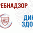 Всероссийский «Диктант здоровья» - Авиалесоохрана