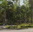 Четыре общественных пространства благоустроят в Пушкинском округе в следующем году - Regions.Ru