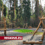 Лесопарк «Северный» готовят к скорому открытию в Пушкино - Regions.Ru