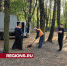 Пришвин и Толстой вдохновляют коммунальщика из Пушкино на уборку листвы - Regions.Ru