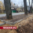 Вековые липы сохранили при строительстве посадочной площадки автотранспорта в Пушкино - Regions.Ru