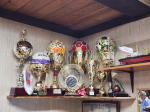 Футбольное поле для чемпионов мира обновили в Пушкинском округе