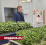 Школьникам в Пушкино рассказали, какая ниша в сельском хозяйстве имеет наибольшие перспективы - Regions.Ru