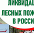 О лесопожарной обстановке в России на 00:00 мск 30.12.2024 - Авиалесоохрана