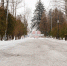 Городской парк в Ивантеевке благоустроят к концу 2025 года - Regions.Ru