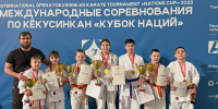Спортсмены Пушкинского округа стали победителями «Кубка наций» по кекусинкан - Regions.Ru