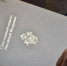 Стали известны подробности гибели 18-летней студентки из Ивантеевки - Regions.Ru
