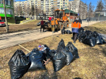 Участники субботника в Пушкинском округе собрали 10 КамАЗов мусора