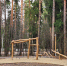 Жители Пушкино в восторге от обновленного лесопарка Северный - Regions.Ru