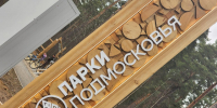 Центральный парк Пушкино вошел в тройку самых популярных мест для отдыха с начала года - Regions.Ru