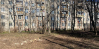 Старую листву и мусор убрали на улице Тургенева в Пушкино - Regions.Ru