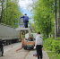 На западе Пушкино коммунальщики продолжили спил сухостоя и опиловку деревьев - Regions.Ru