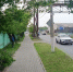 Перегородившее тротуар дерево убрали в Ивантеевке - Regions.Ru