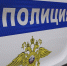 Полиция проводит проверку по информации о жестоком обращении с животным в Пушкино - Regions.Ru