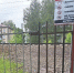 В Пушкинском округе ликвидировали два несанкционированных перехода через ж/д пути - Regions.Ru