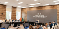 Глава Пушкинского округа отчитался о создании доступной среды - Regions.Ru