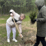 В Ивантеевке 5 июля пройдет акция «Чистый лес» - Regions.Ru