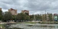Новая зона отдыха в Пушкино: озеро Травинское благоустроят до конца ноября - Regions.Ru
