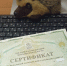 Семьям Подмосковья доступен региональный материнский капитал - Regions.Ru
