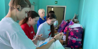 Школьники Пушкинского округа спасли 20 деревьев благодаря эко-акции - Regions.Ru