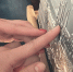 Потрогать пальцами море можно на уникальной выставке в Муранове - Regions.Ru