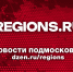 Петр Елтышов покинул пост замглавы Пушкинского городского округа - Regions.Ru