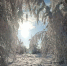Снежные бури и мороз до -15°C? Каким будет конец ноября в Подмосковье, сказали синоптики - Regions.Ru