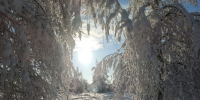 Снежные бури и мороз до -15°C? Каким будет конец ноября в Подмосковье, сказали синоптики - Regions.Ru