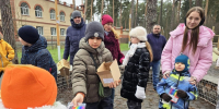 Кормушки, скворечники и угощения: жители Городского округа Пушкинский устроили праздник для птиц - Regions.Ru
