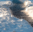 Морозная зима уходит из Подмосковья? Когда в регион придут -15 °C и снег - Regions.Ru