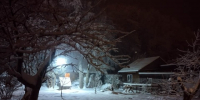 Морозный удар до -14°C перед Новым годом: синоптик Позднякова удивила прогнозом до 31 декабря - Regions.Ru