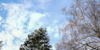 Температура рванет от -19° до +2°С: синоптик предупредила о резкой оттепели в Подмосковье - Regions.Ru