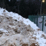 Плодородный слой под мусором: в Пушкино дачников поймали на незаконной планировке земли - Regions.Ru